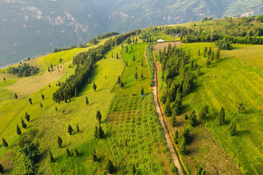 Suoi Thau Grassland 