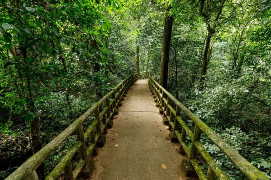 Cuc Phuong National Park 