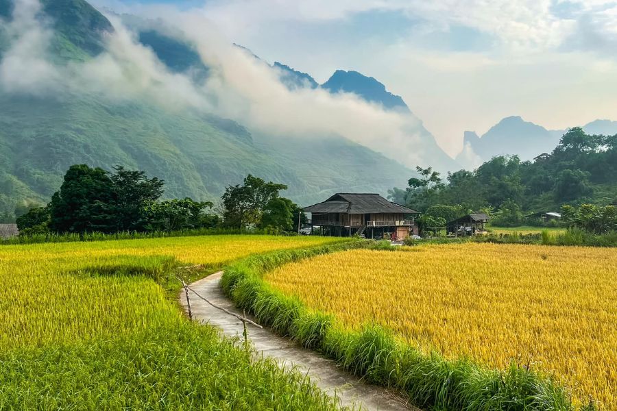 A Brief Introduction to Yen Minh