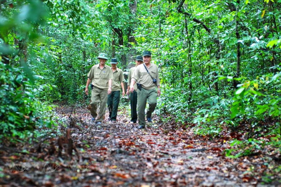 Binh Chau - Phuoc Buu Nature Reserve