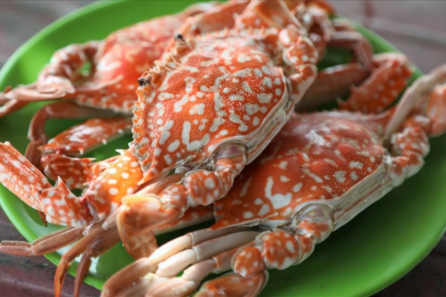 Must-Try Cuisine