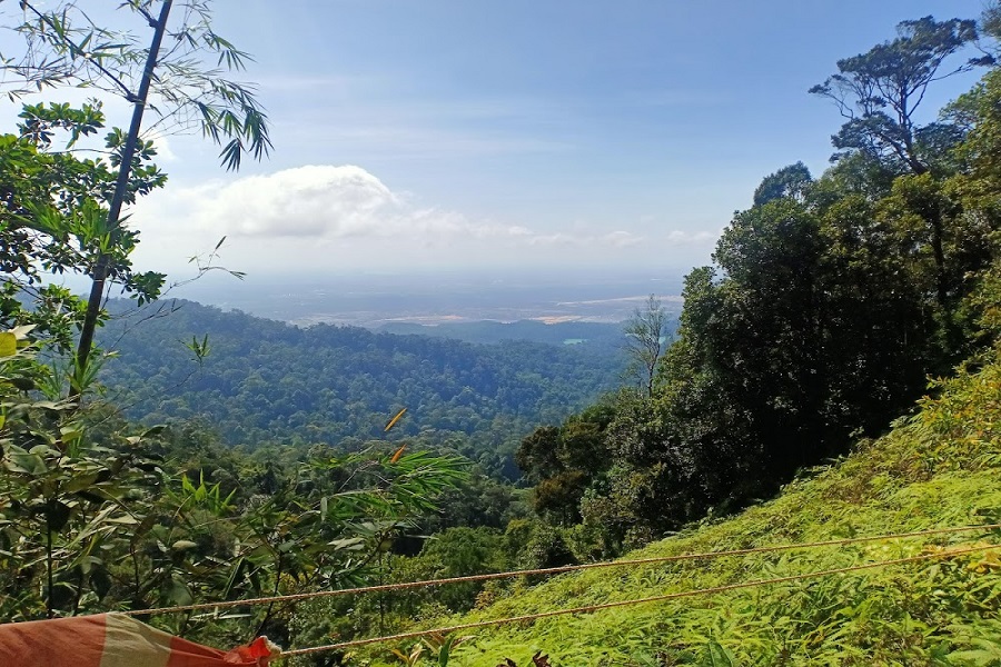 Day 2 takes you deep into the heart of Gunung Pulai Recreational Forest