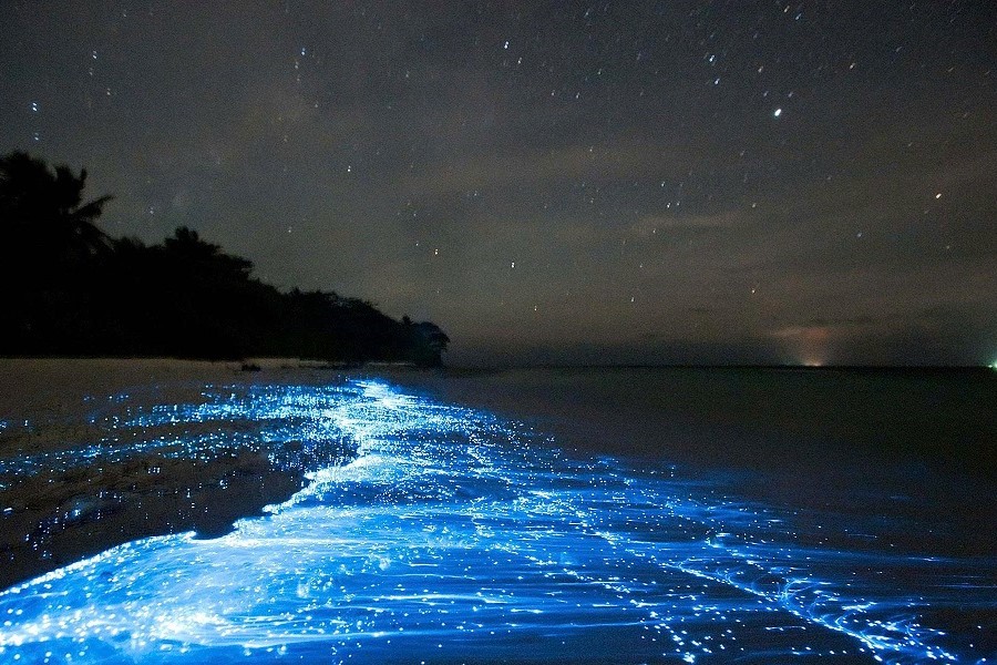 Bioluminescent phenomenon, a magical scene in Koh Rong