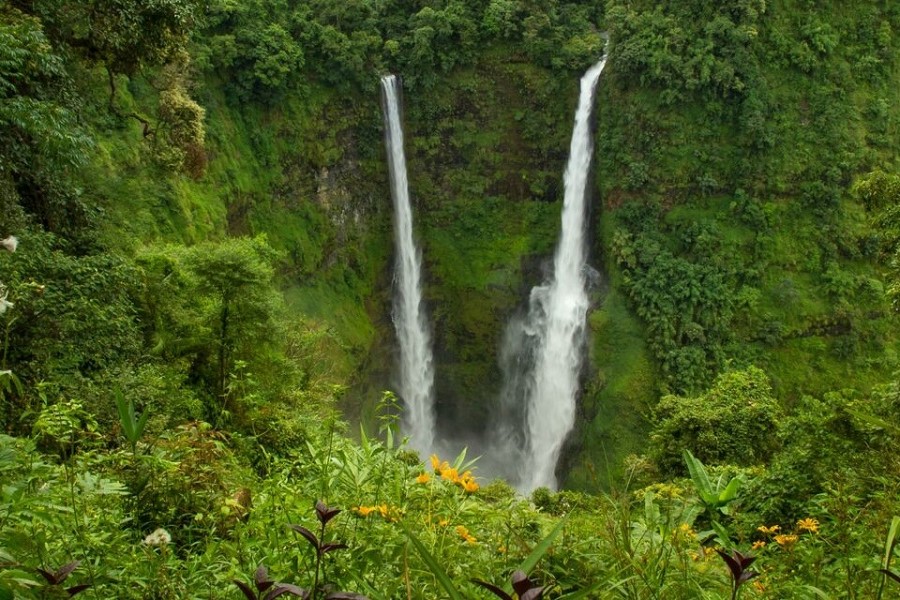 Pristine natural scene at Bolaven Plateau