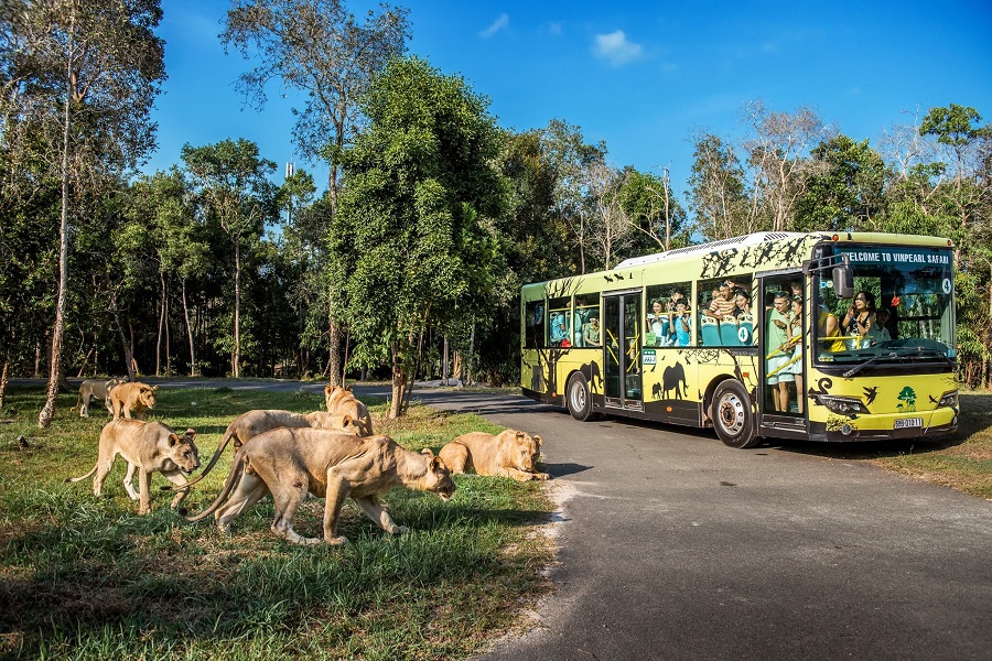 Observe exotic animals in a well-designed environment