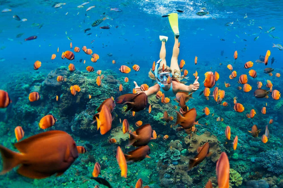 Go snorkeling in Phang Nga Bay