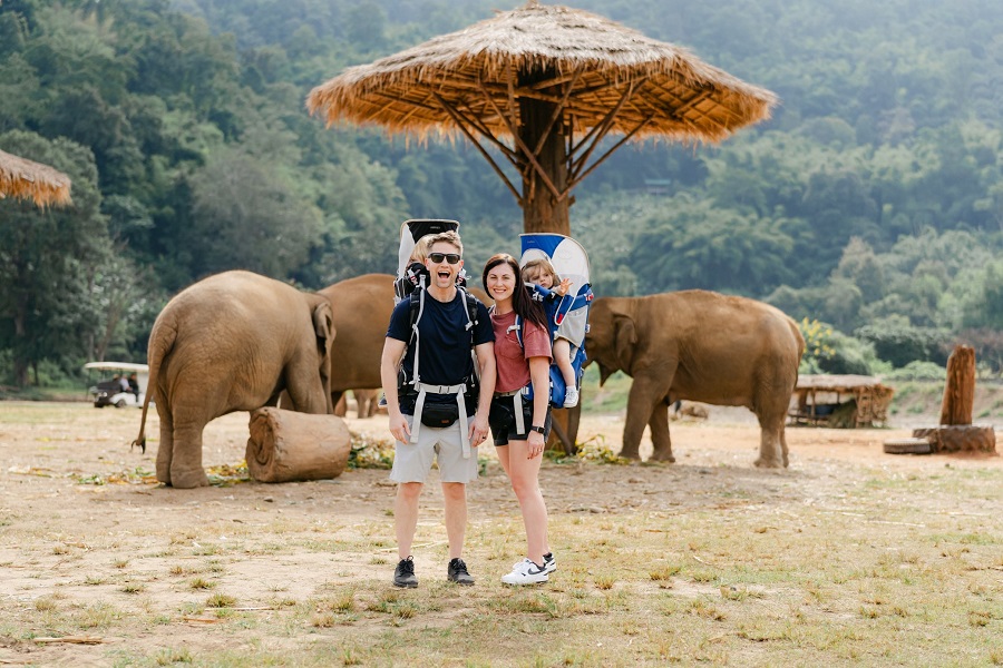 You can interact with elephants in a safe and friendly setting