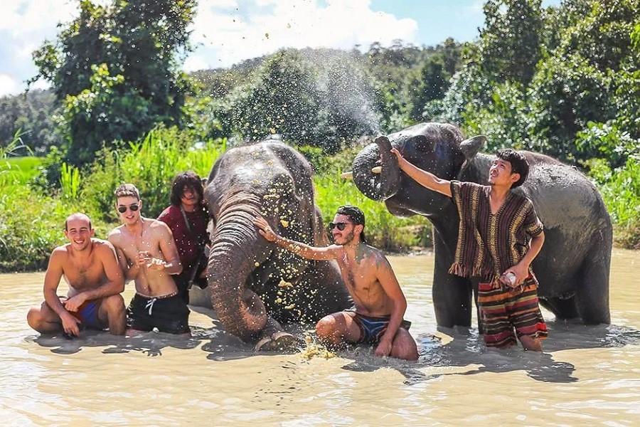 Thailand’s elephant sanctuaries provide an open and friendly space to interact with these gentle giants