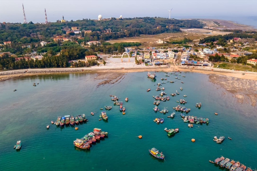 What Makes Bach Long Vi Special?