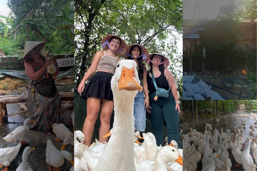 This is among the most unique things to do in Vietnam