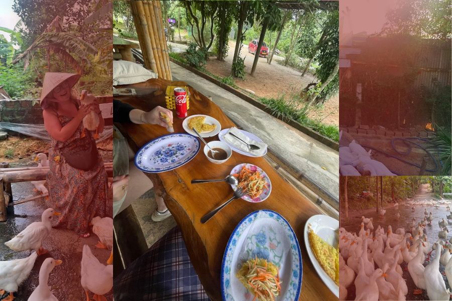 The Duck Stop Phong Nha has some really delicious food