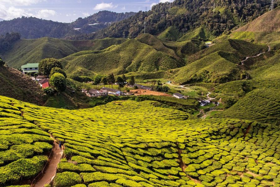 Ramadan 2026 in Malaysia falls in March, during the spring season