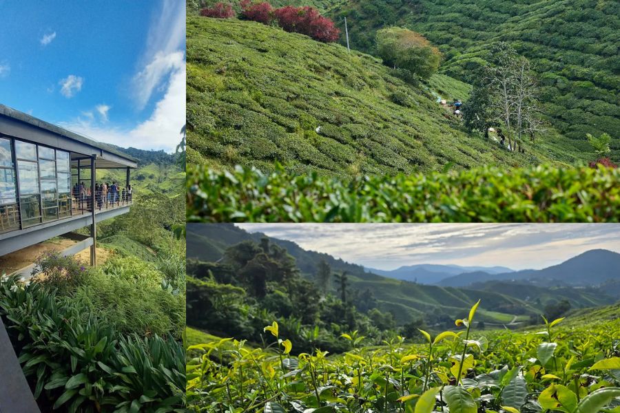 Is slow travel in Malaysia on your travel plan for 2026