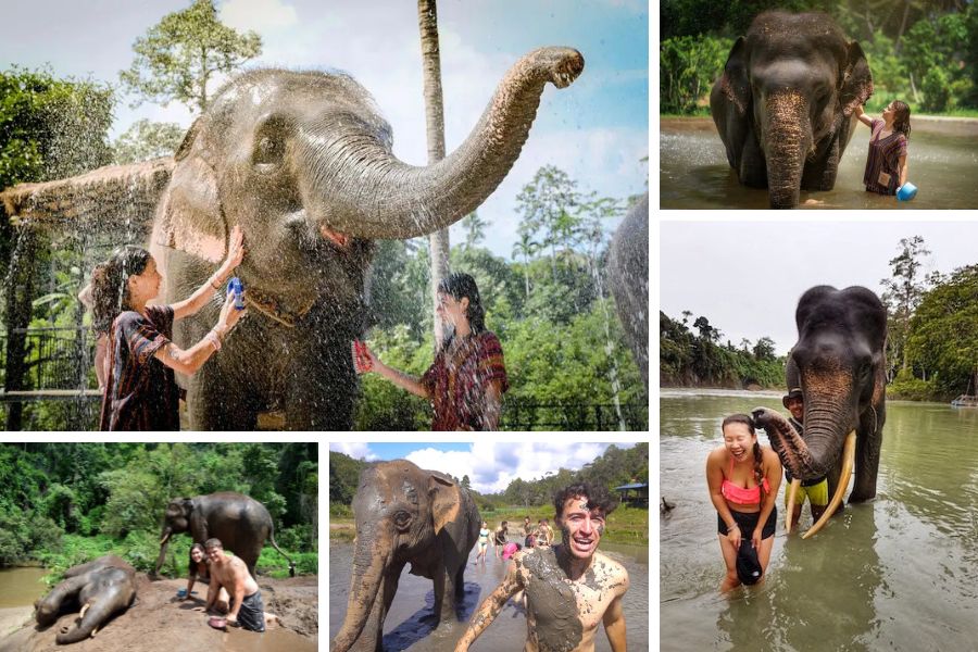 Bathe with elephants in Thailand for an experience you won’t forget