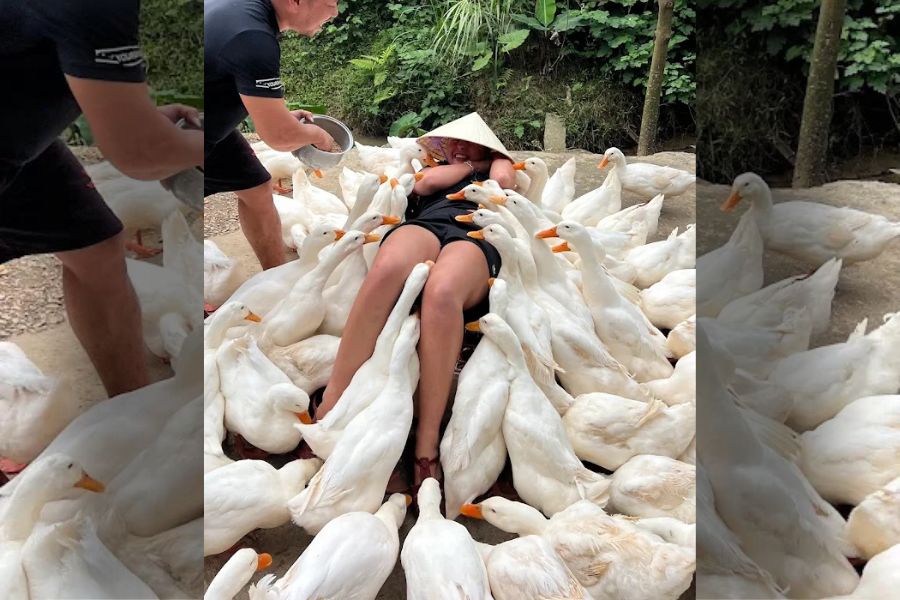 Spring is the best time to travel to Vietnam