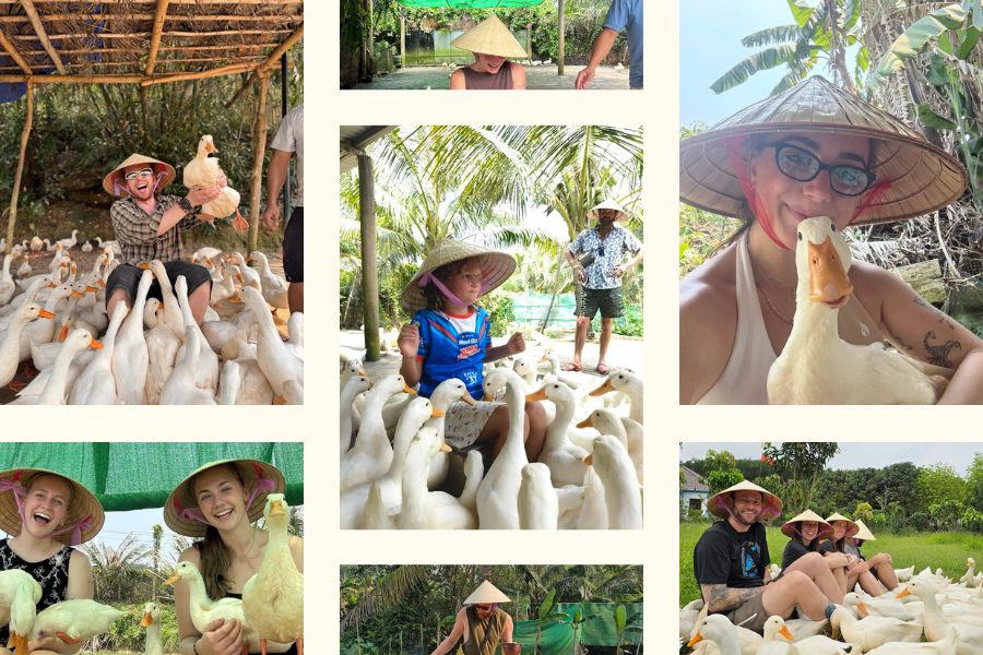 How to get to the Duck Stop Phong Nha