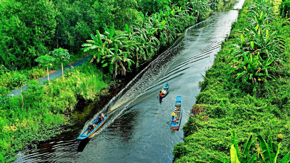 Mekong Delta in August