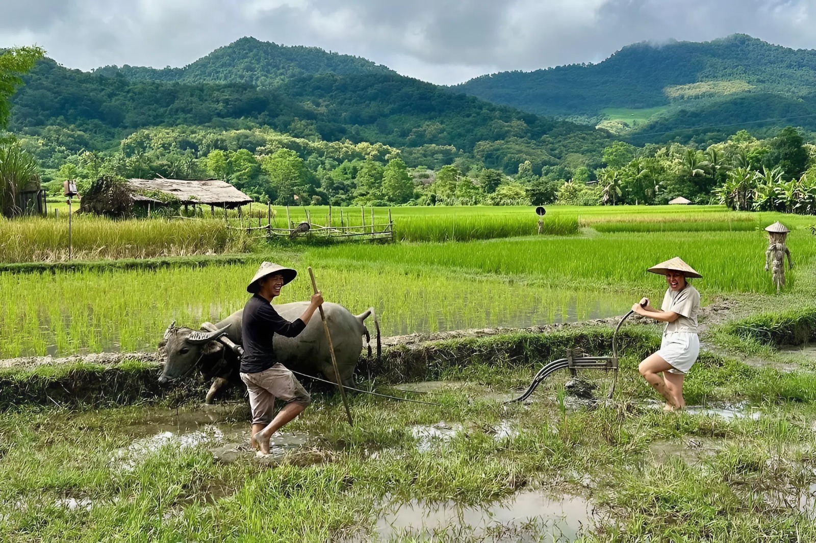 Living Land Rice Farm