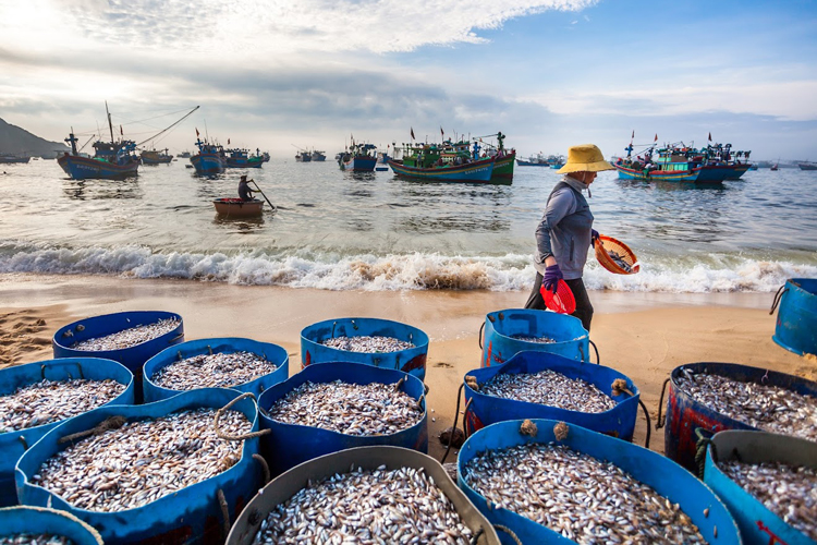 When visiting this location, visitors will have the opportunity to explore the authentic fishing village lifestyle