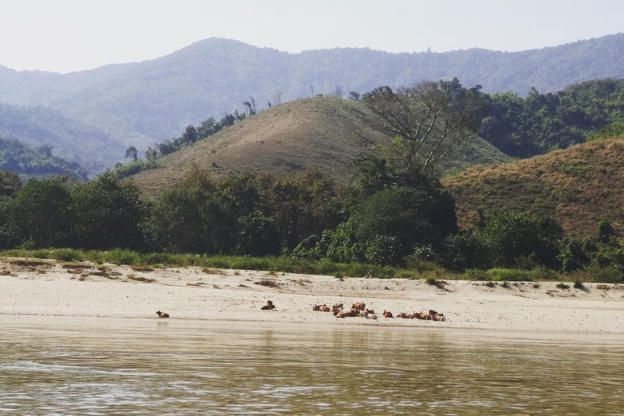 Some tips when traveling to Bokeo