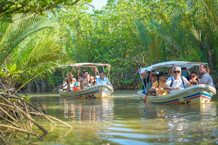 Boat trips in and around Ream National Park offer a captivating way to explore its diverse coastal and riverine environments