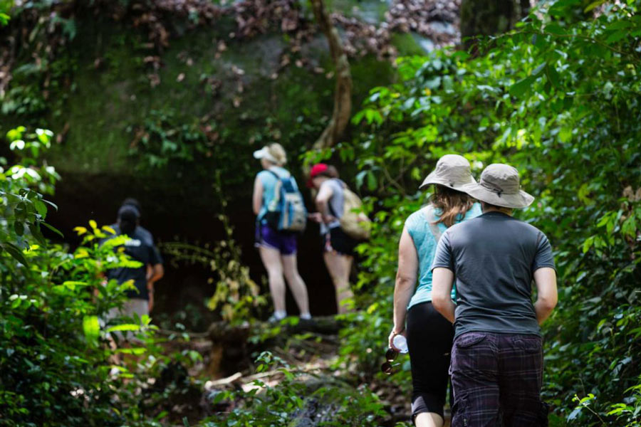  Jungle trekking in Ream National Park provides an immersive experience amidst the park's lush tropical landscapes and diverse ecosystems