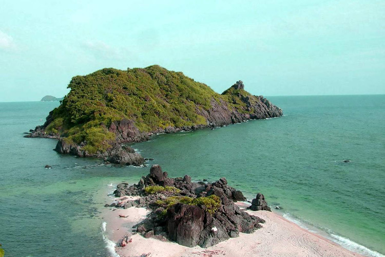 Hon Tre Nho in Con Dao possesses a rich and diverse ecosystem
