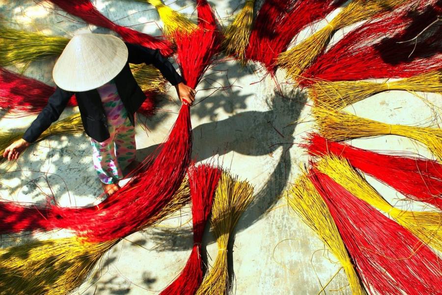 The colorful paths of sedge (Source: Vietsence)