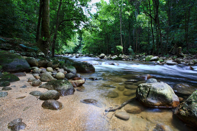 You will admire the beautiful nature on the way to conquer Chu Yang Sin peak