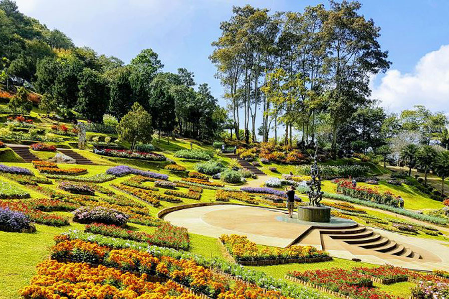 Beauty of Mae Fa Luang
