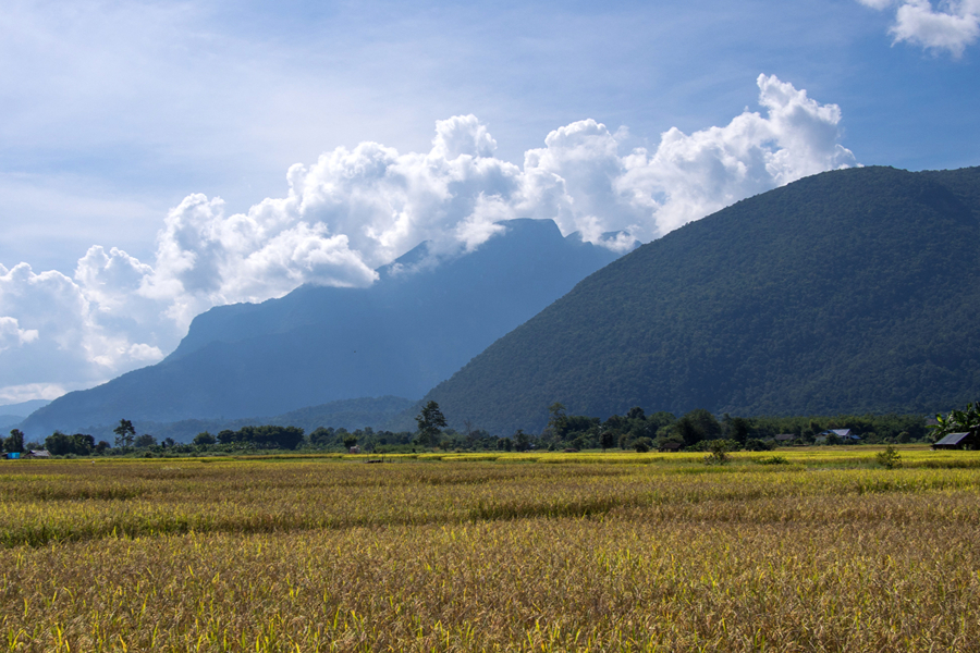 Natural landscapes in Chiang Dao