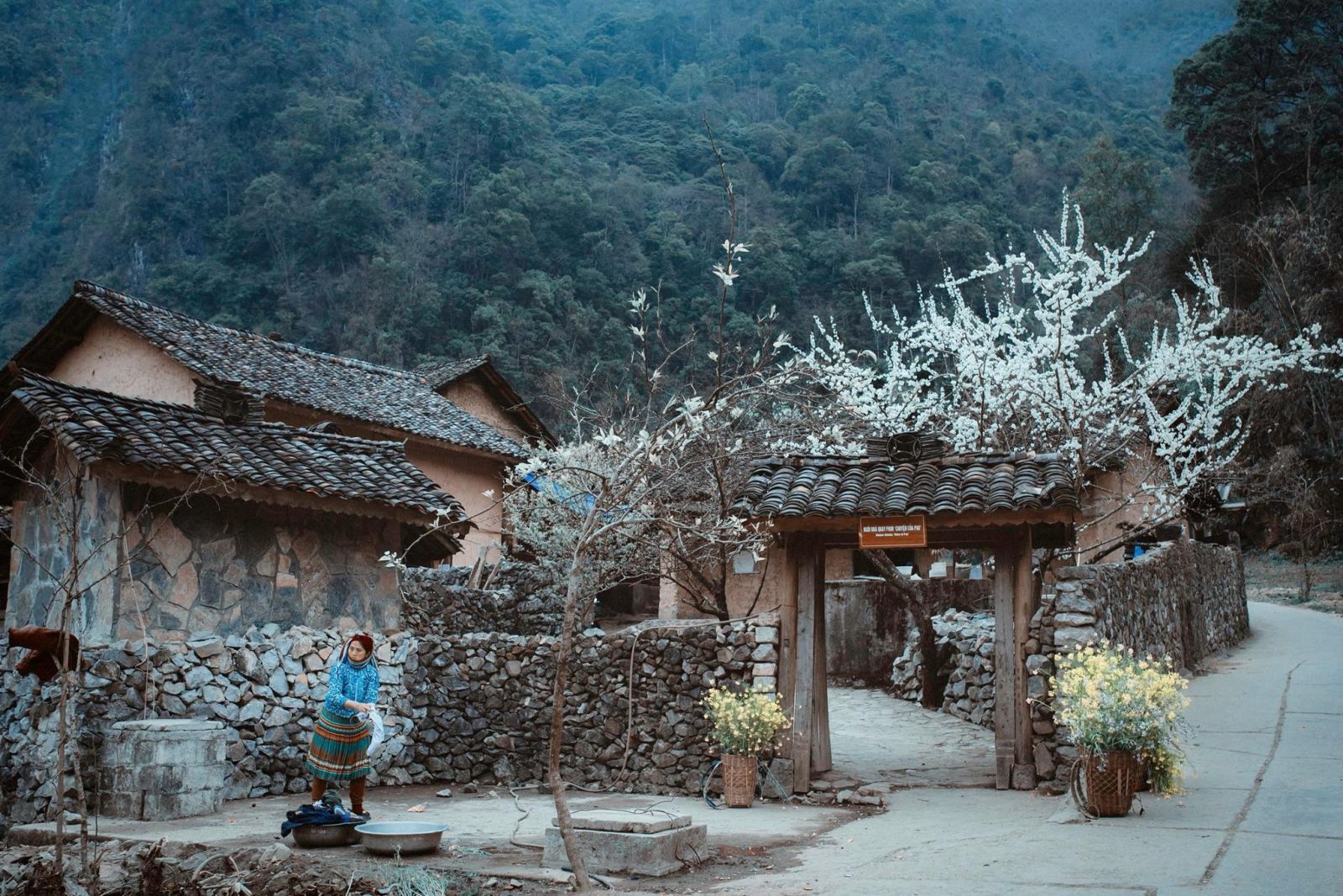 Film set