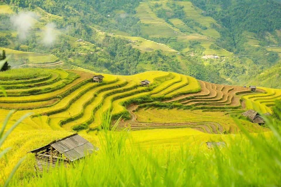 Beautiful landscape of Hoang Su Phi Terraced Fields
