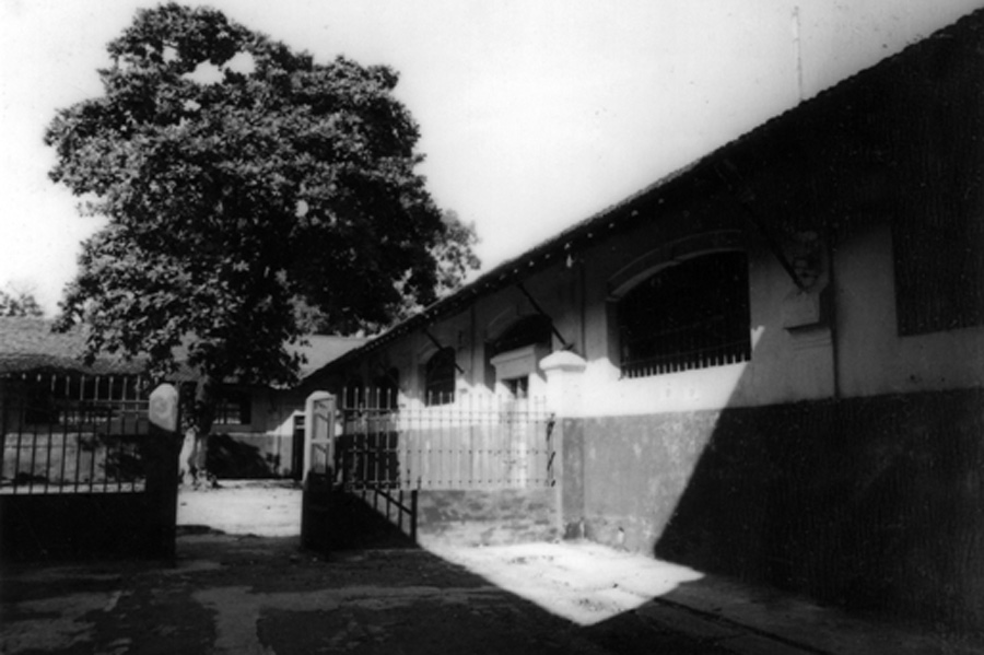 Hoa Lo Prison - Bodhi tree
