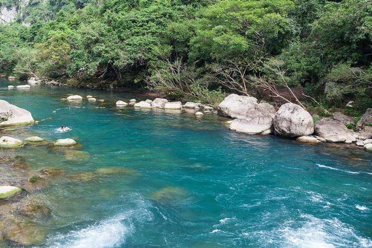 Trach stream