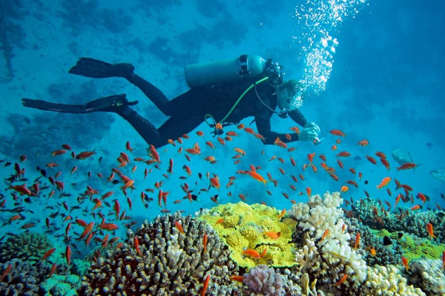Diving at Hon Mun Island