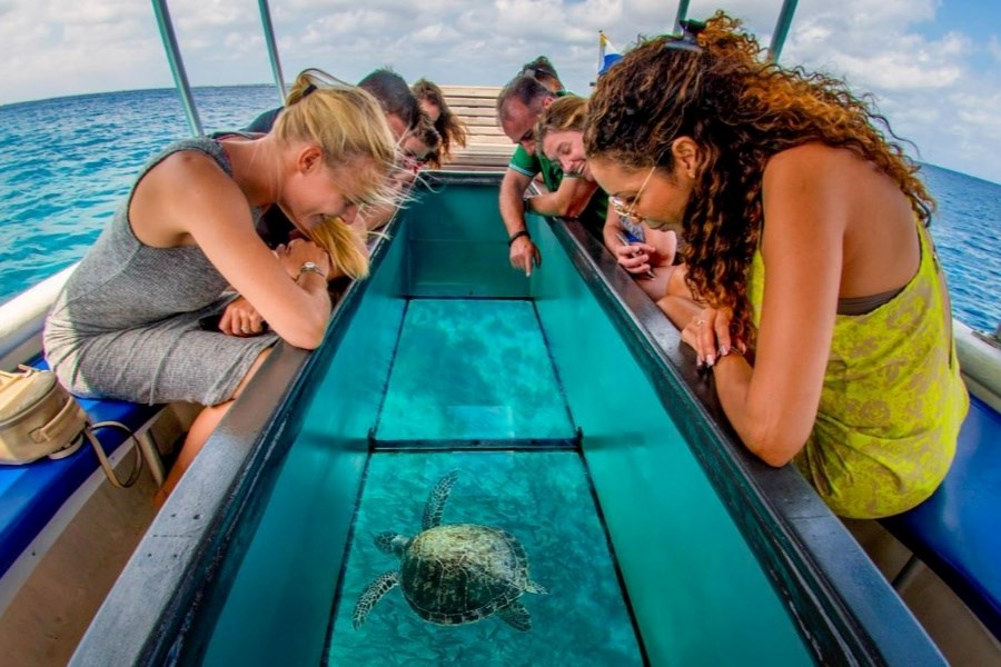 Glass-Bottom Boat Ride at Hon Mun Island
