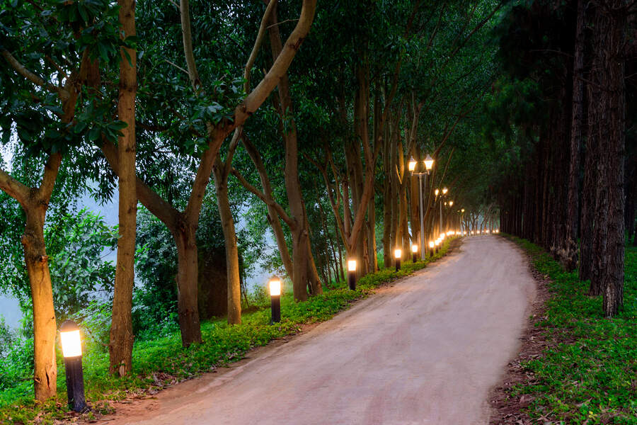 The lakeside path is dreamy