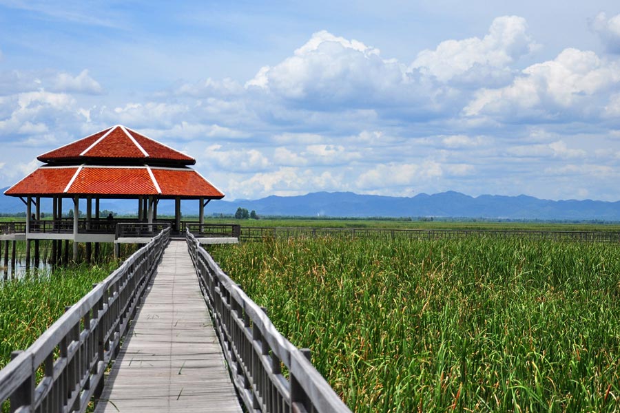 Explore A 5-Day Tour of Beach Holiday in Northern Thailand
