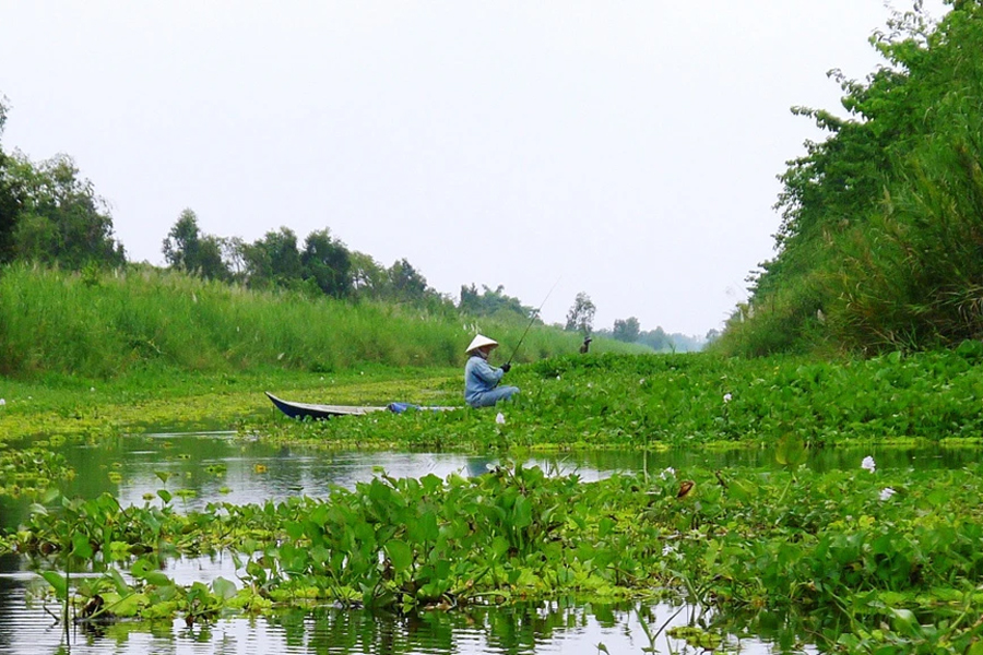 Rent a canoe at Hoa Mai Lake, and equipped with food, water, and fishing gear, navigate the water lily-filled canals to find your ideal fishing spot
