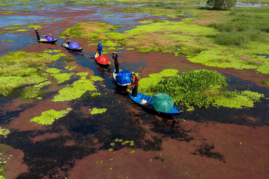 Experience the serenity of U Minh Thuong National Park by taking a leisurely boat ride through the enchanting Melaleuca forest