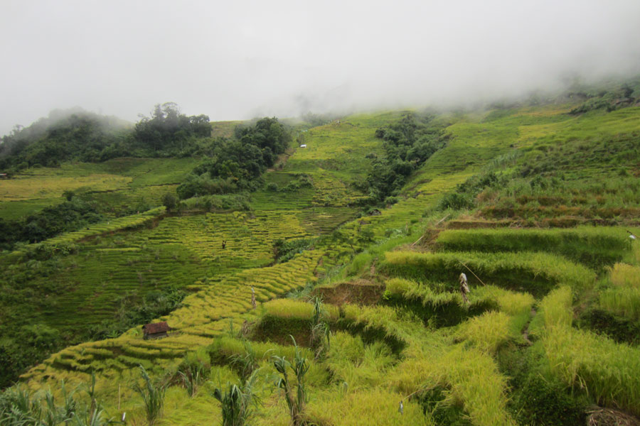 Ngoc Linh Mountain