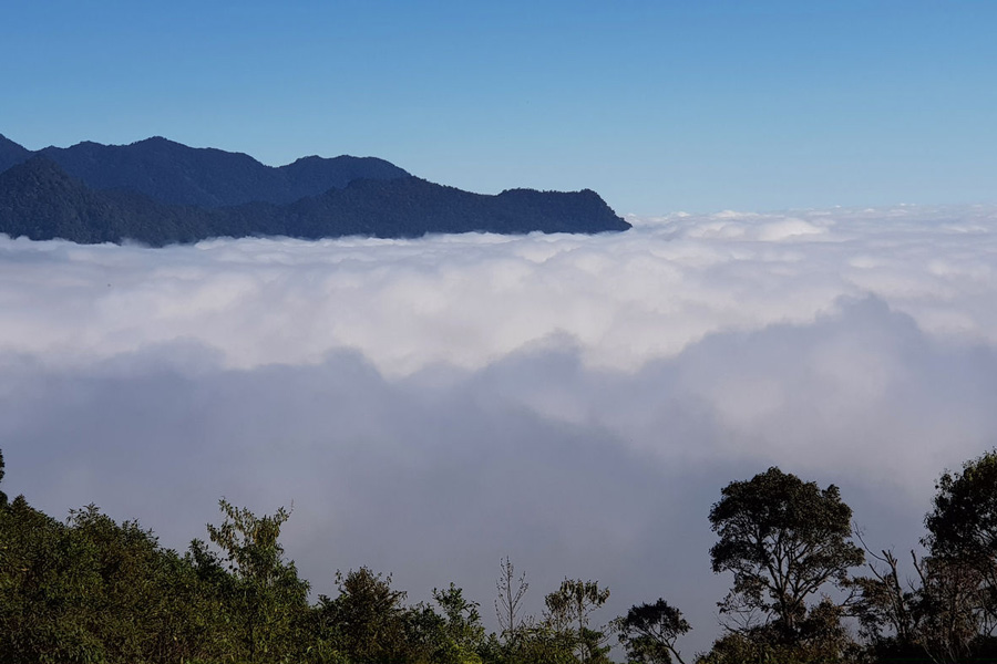 Ngoc Linh Mountain