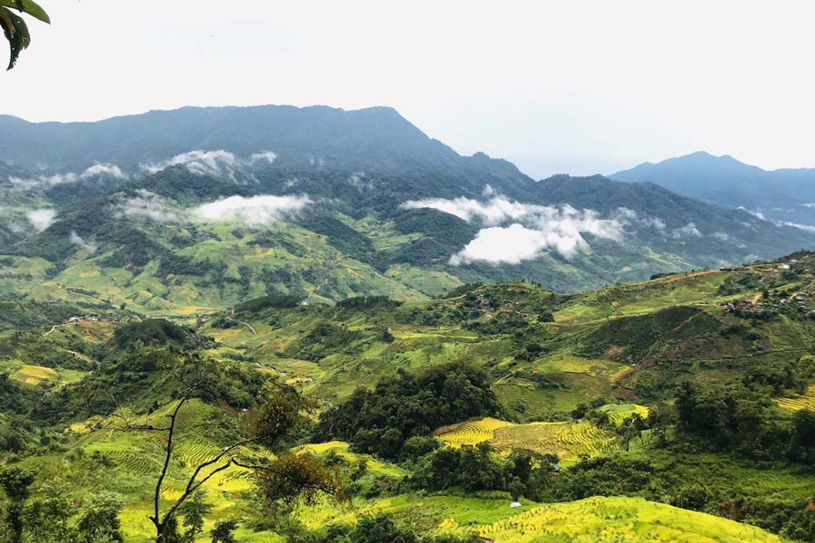 Ngoc Linh Mountain