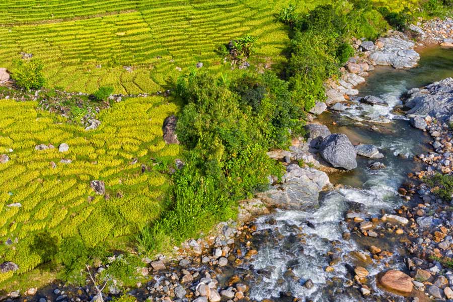 Ngoc Linh Mountain - river