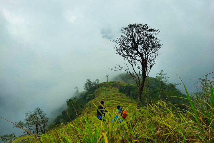 The view at the top of Pu Si Lung