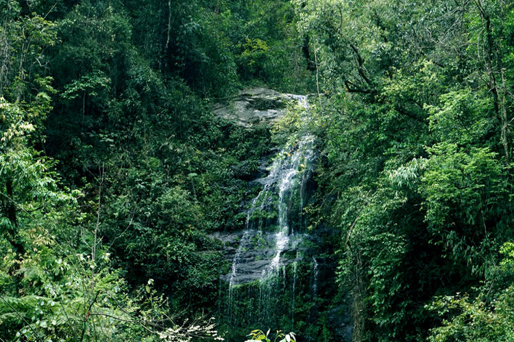 The beautiful natural scenery on Pu Ta Leng peak