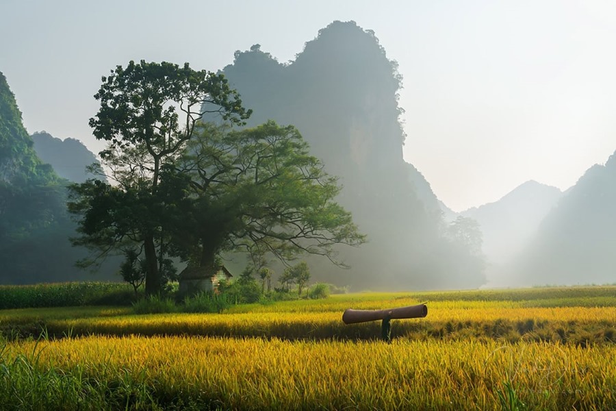 Take the best picture to your collection in Phong Nam Valley (Source: Luhanh)