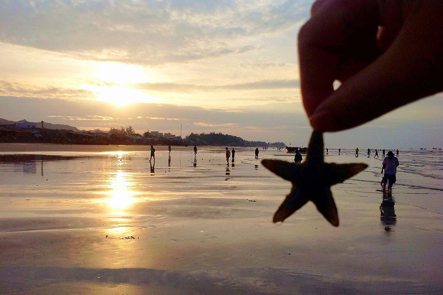 Shellfish hunting at Long Hai Beach
