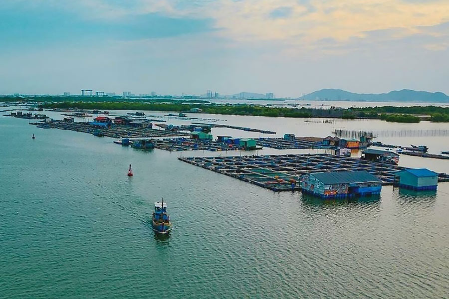 Long Son Raft Village View
